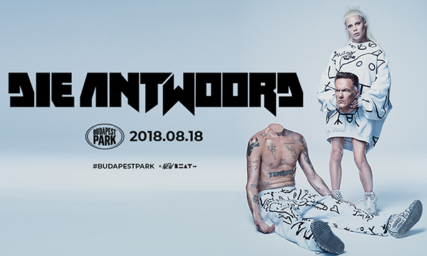 picture Die Antwoord