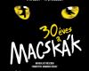 Macskák