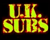 UK Subs (UK), The Vibrators (UK)