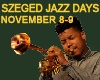 Szegedi Jazz Napok 2013