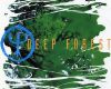 Deep Forest